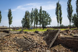 POL Poland Poland Auschwitz-Birkenau Destroyed gas chambers in the Auschwitz-Birkenau camp