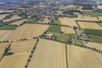 Aerial view, DPD depot in Hamm, truck stop Osterbönener Weg, logistics centre, Hamm, Ruhr area,