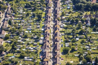 Aerial view, mining estate Wiescherhöfen, terraced housing estate Robertstraße, Wiescherhöfen,