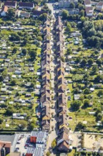 Aerial view, mining estate Wiescherhöfen, terraced housing estate Robertstraße, Wiescherhöfen,