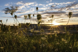 DEU Germany Germany Berlin Sunset at the future BER Berlin-Brandenburg Airport