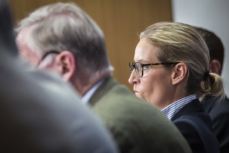 DEU Germany Germany Berlin AFD press conference on environmental policy with Alexander Gauland and