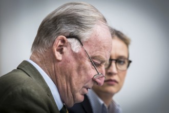 DEU Germany Germany Berlin AFD press conference on environmental policy with Alexander Gauland and