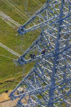 Aerial photo, construction power line Dortmund-Hagen, climber in power pylon, worker, height