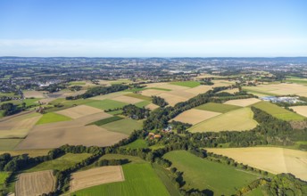 Aerial view, agricultural fields, Schweichelner Straße, Falkendiek, Herford, Ostwestfalen-Lippe,