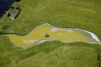 Aerial view, pond with island and water birds in the Lippe floodplains, Hamm, Ruhr area, North