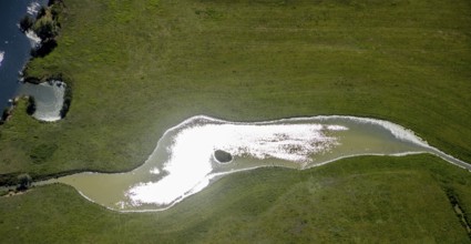 Aerial view, pond with island and water birds in the Lippe floodplains, Hamm, Ruhr area, North