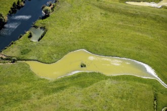 Aerial view, pond with island and water birds in the Lippe floodplains, Hamm, Ruhr area, North