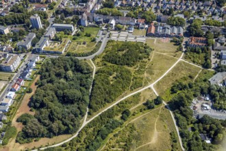 Aerial view, Flottmannpark, Herne, Ruhr area, North Rhine-Westphalia, Germany, DE, Europe, green