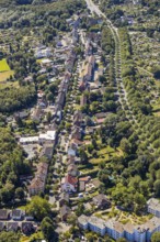 Aerial view, street with trees, Dorstener Straße, Herne, Ruhr area, North Rhine-Westphalia,