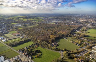 Aerial view, Pilsholz Forest, Rhynern, Hamm, Ruhr area, North Rhine-Westphalia, Germany, DE,