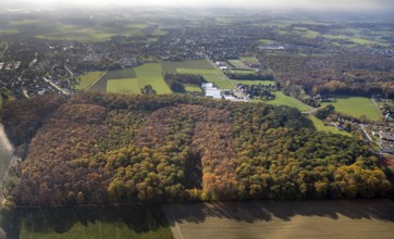 Aerial view, Hüls Wald Caldenhofer Weg, Uentrop, Hamm, Ruhr area, North Rhine-Westphalia, Germany,