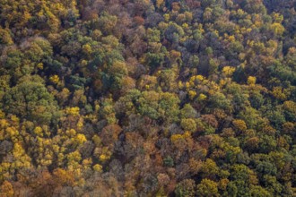 Aerial view, Pilsholz Forest, Rhynern, Hamm, Ruhr area, North Rhine-Westphalia, Germany, DE,