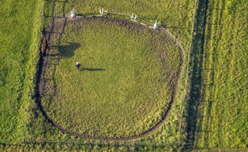 Aerial view, riding area, horse walker, Geithe, Uentrop, Hamm, Ruhr area, North Rhine-Westphalia,