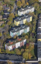 Aerial view, high-rise housing estate Dambergstraße, Westtünnen, Hamm, Ruhr area, North
