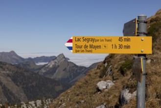Hiking trail on the ascent to the Tour de Famelon, Lac Segray and Tour de Mayen via Les Truex Karst