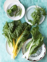 Fresh green chard, bell pepper, green beans, and mizuna on plates