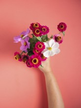 Hand holding fresh zinnias and cosmos, offering a colorful floral arrangement