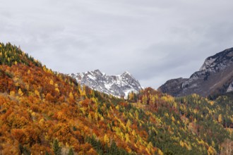 Autumn atmosphere, snow at the summit, autumn leaves, near Vordernberg, Styria, Austria