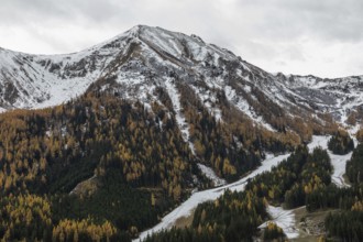 Autumn atmosphere, snow at the summit, autumn leaves, Eisenerzer Reichenstein, Präbichl, Styria,