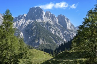 View from Bindalm to the peaks of the Reither Alm with Stadelhorn and Mühlsturzhorn, Berchtesgaden