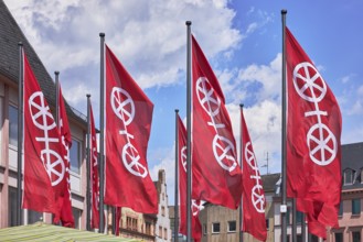Mainz flags, flag city of Mainz, flags, flagpoles, city coat of arms, general architecture, blue