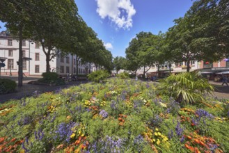 Garden area, flower bed, trees, general architecture, pedestrians as a secondary motif, blue sky,