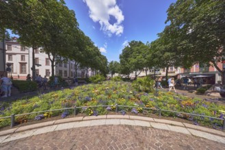 Garden, flower bed, trees, paving stone square, general architecture, pedestrians as a secondary