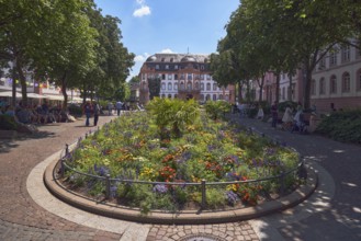 Gardens, flower beds, trees, general architecture, historic buildings, houses, paving stone square,