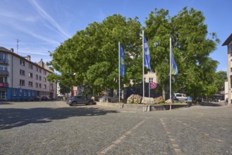 General architecture, flags on flagpoles, advertising flag, trees, cars, square made of paving