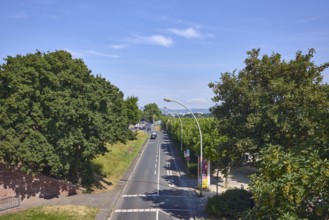 Road, lanterns, lanes, bus lane, bus lane marking, solid line, trees, lawn, elevated perspective,