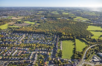 Aerial view, Pilsholz forest, row house residential development Am Pilsholz, autumnal forest,