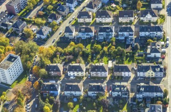Aerial view, row house residential development with allotment gardens on Wilhelm-bush-Straße and