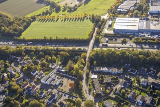 Aerial view, Wambelner Straße bridge over the A2 motorway, meadow area surrounded by autumn trees