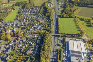 Aerial view, meadow area surrounded by autumn trees on the A2 motorway, Wambelner Straße bridge,