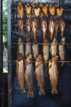 Different types of fish in a smoker, Ahrenshoop, Darß, Mecklenburg-Western Pomerania, Germany