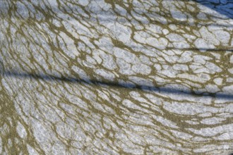 Structure of pollution in the port of Ahrenshoop, Darß, Baltic Sea, Mecklenburg-Western Pomerania,