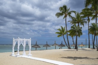 Beach, umbrellas, deckchairs, palm trees, sea, sky, clouds, wedding pavilion, Flic-en-Flac,