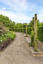 Elegant garden architecture: weathered wooden posts and chains bordering the walking trail at Hyde