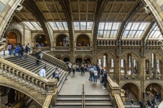 London, United Kingdom - 15 May 2025: People exploring the immense Natural History Museum
