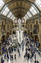 London, United Kingdom - 15 May 2025: Crowds of people gather beneath the famous hanging whale