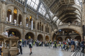 London, United Kingdom - 15 May 2025: The vast interior of the prestigious London Natural History
