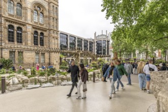 London, United Kingdom - 15 May 2025: Tourists and visitors entering the Natural History Museum