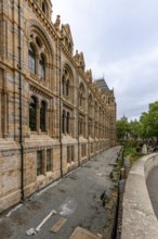 London, United Kingdom - 15 May 2025: Intricate details of the Natural History Museum walls