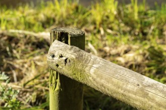 Raesfeld, NRW, Germany, Weathered wooden fence post with a fallen rail connecting, standing in a