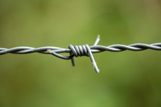 Borken, NRW, Germany, Barbed wire close up with sharp points creating a boundary on a blurred green