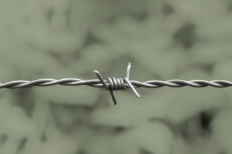 Borken, NRW, Germany, Barbed wire showing danger and restriction on a blurred green background