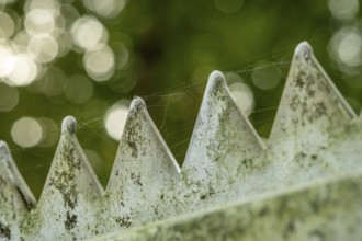 Borken, NRW, Germany, Weathered sharp metal fence spikes with delicate spiderweb and a soft bokeh