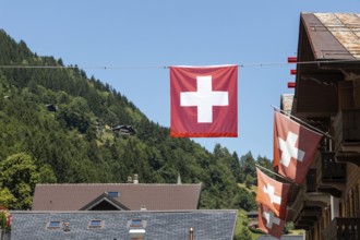 Champery in Switzerland by the French borderChalets with a Swiss flag are pictured in Champery, a