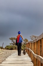 A woman with a blue backpack and a penguin walk along a path covered with wooden planks, The
